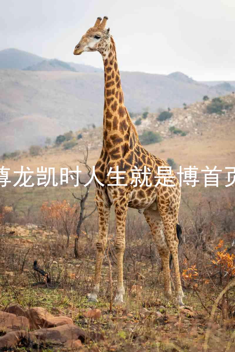 尊龙凯时人生就是博首页