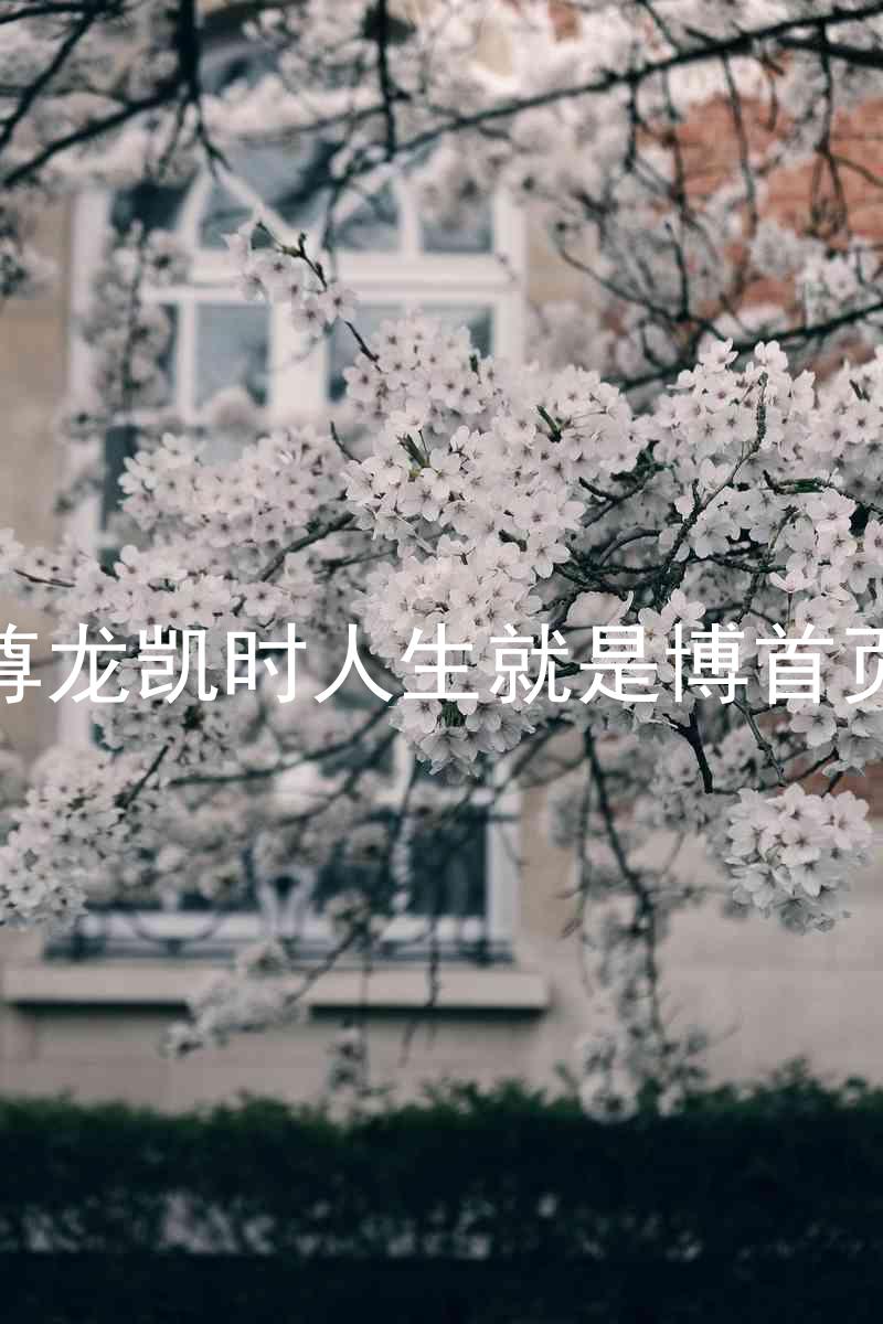 尊龙凯时人生就是博首页